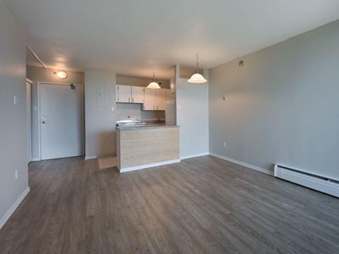 A kitchen area with a counter and cabinets.