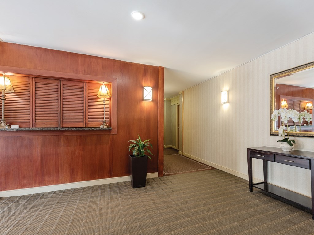 A room with a brown wall and a brown floor with a potted plant.