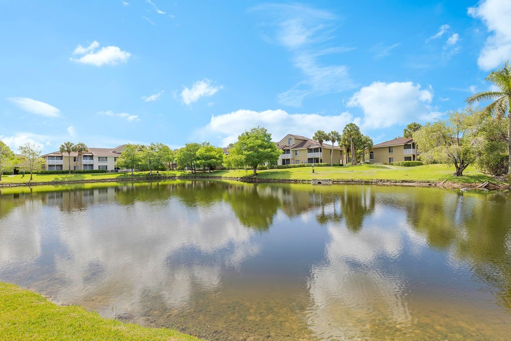 the view of a pond with apartment buildings in the background