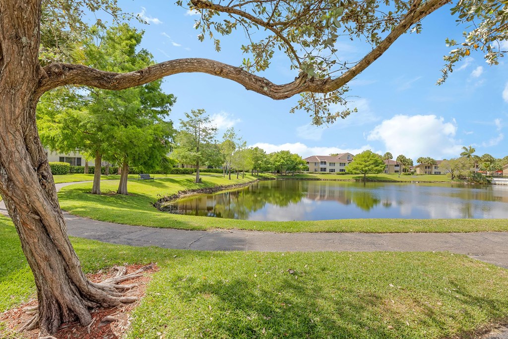 a view of a pond with a tree overlooking it