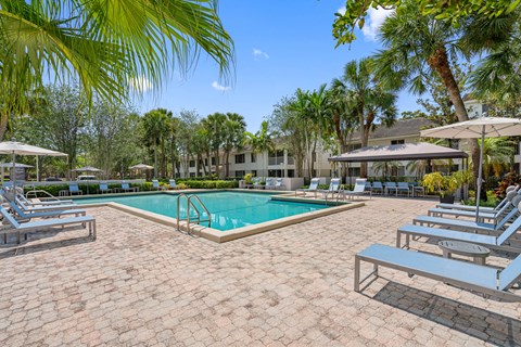 A pool surrounded by palm trees and lounge chairs.