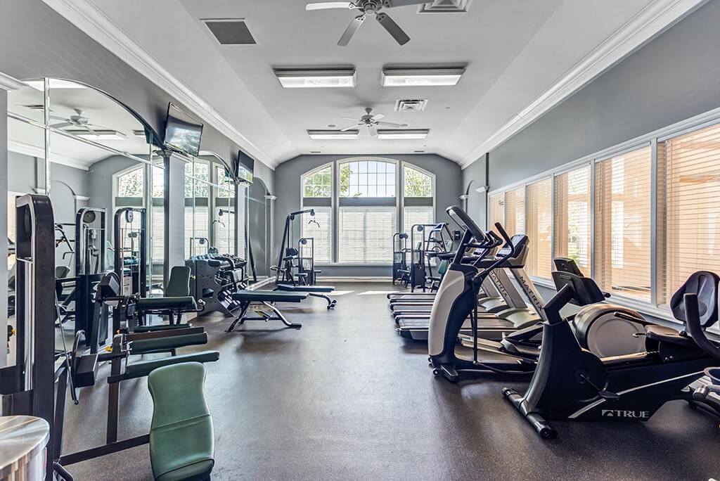 the gym is equipped with cardio equipment and weights