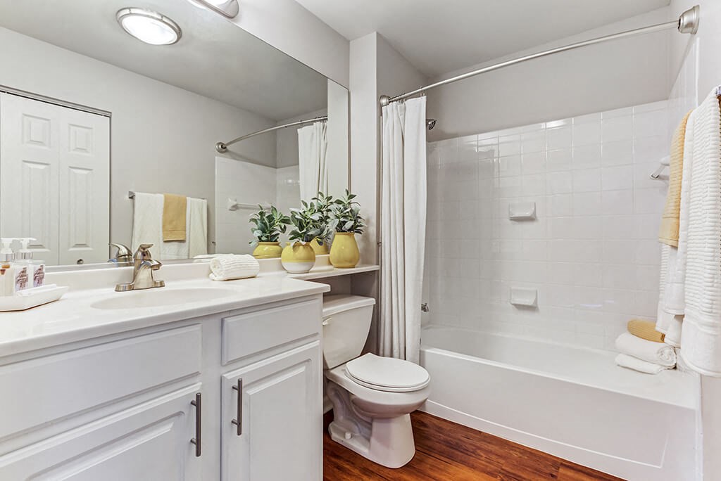 a bathroom with a shower toilet and sink