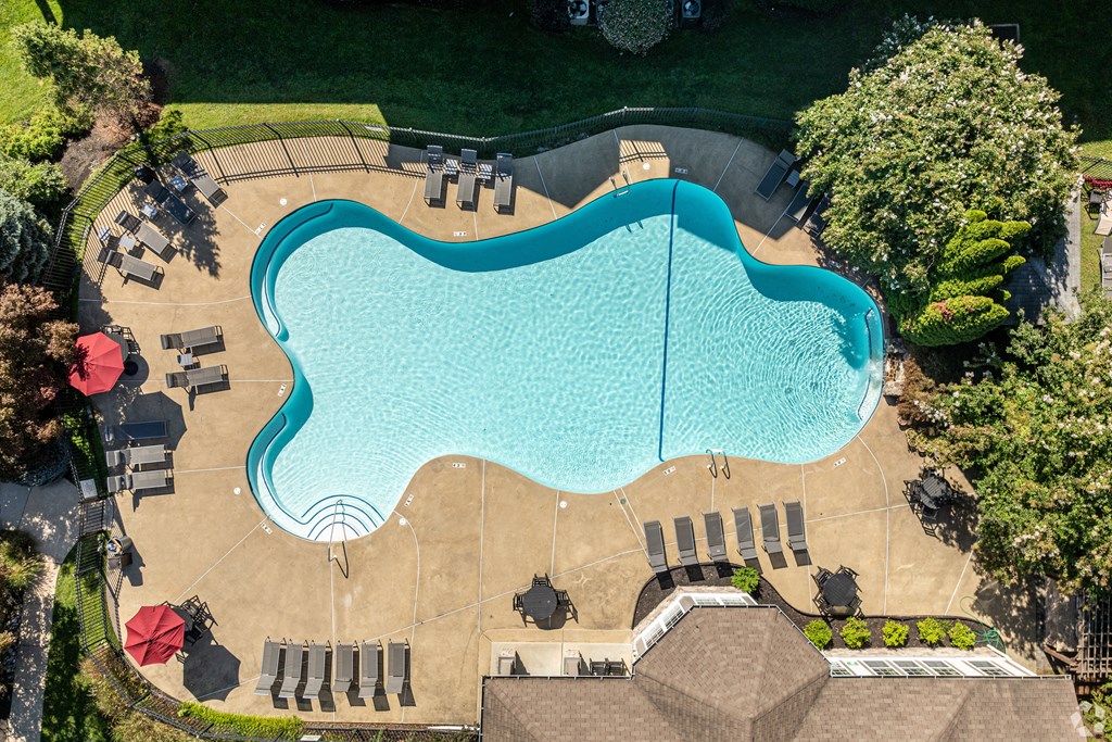 An aerial view of a swimming pool surrounded by trees and chairs.