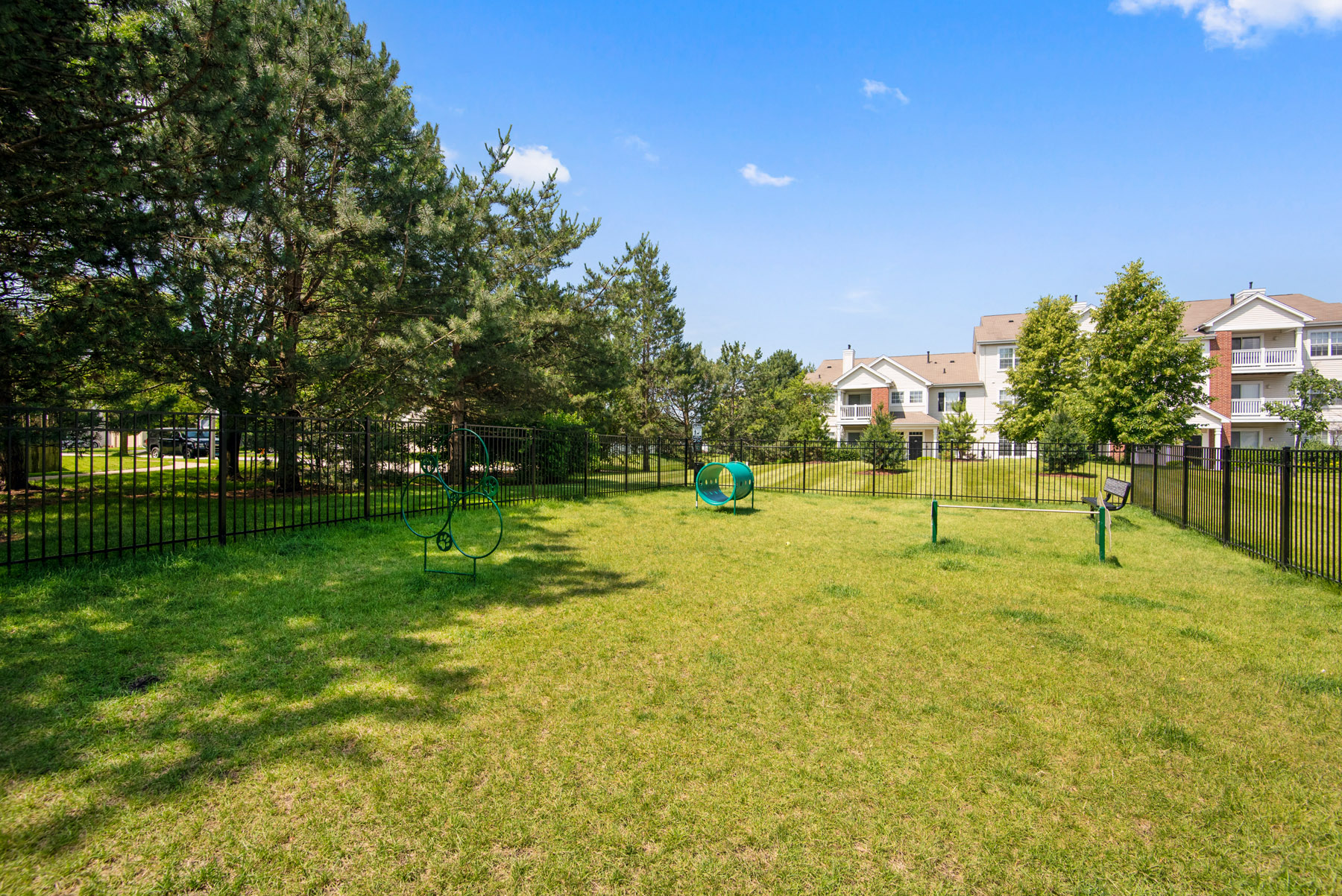 Outdoor dog agility park