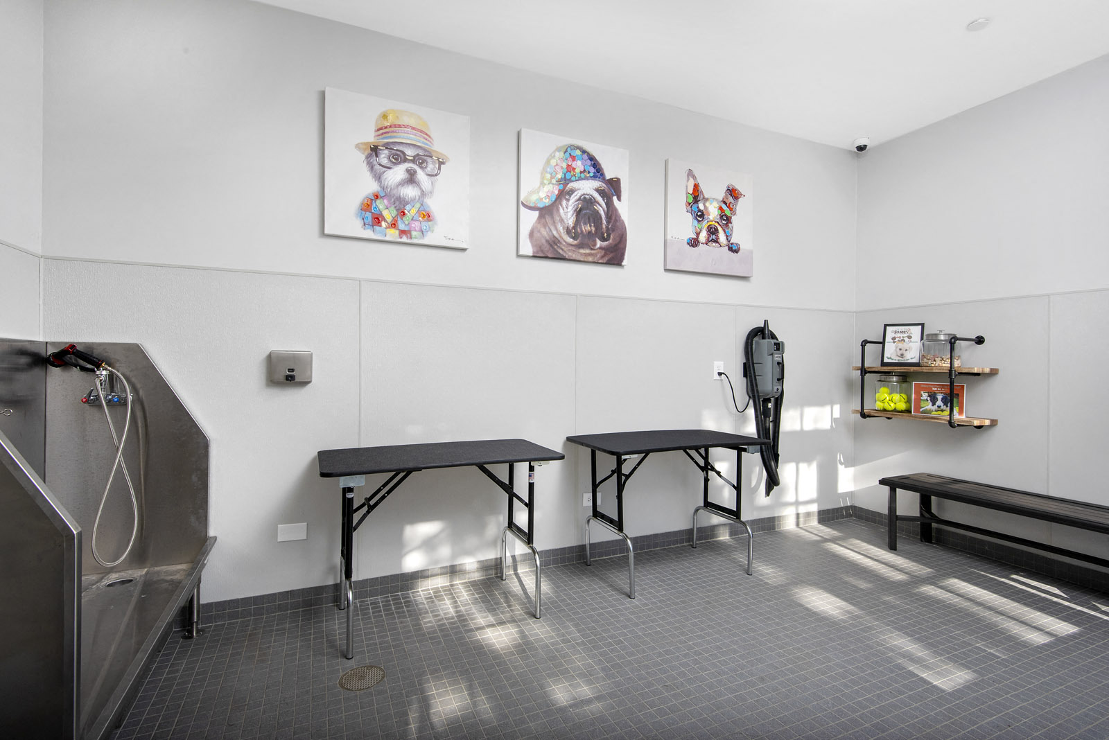 Pet spa with cleaning equipment