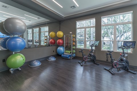 A gym with a variety of equipment including exercise balls, a rowing machine, and a treadmill.