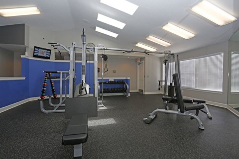A gym with a bench, weights, and a television.