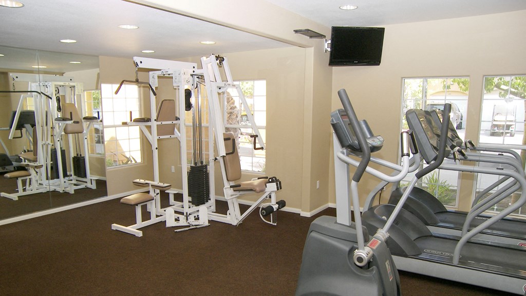 A gym with a variety of equipment including treadmills, weights, and a television.