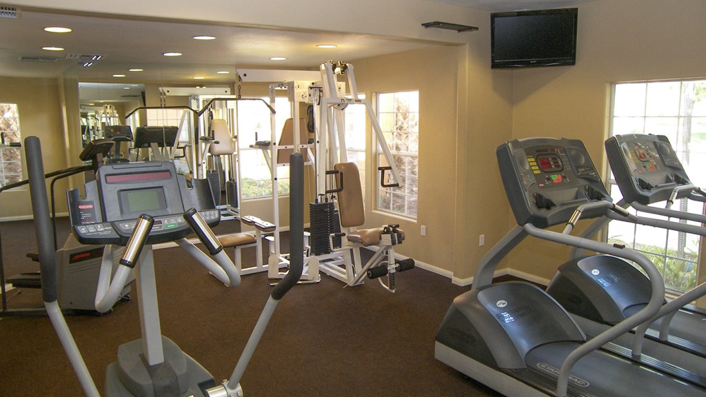 A gym with treadmills, elliptical machines, and a television.