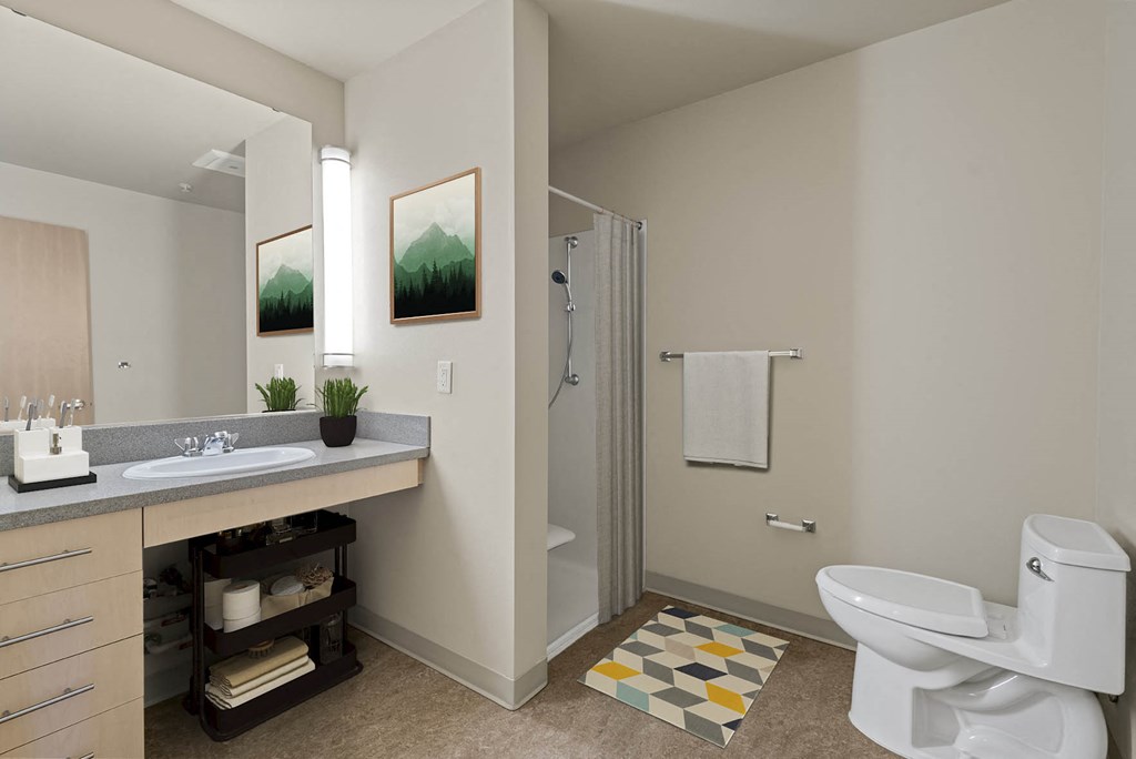 A bathroom with a white toilet and a sink with a mirror above it.