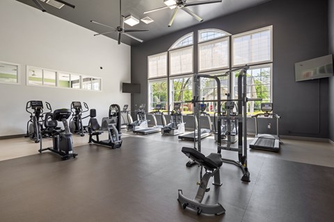 A gym with a variety of exercise equipment and a fan.