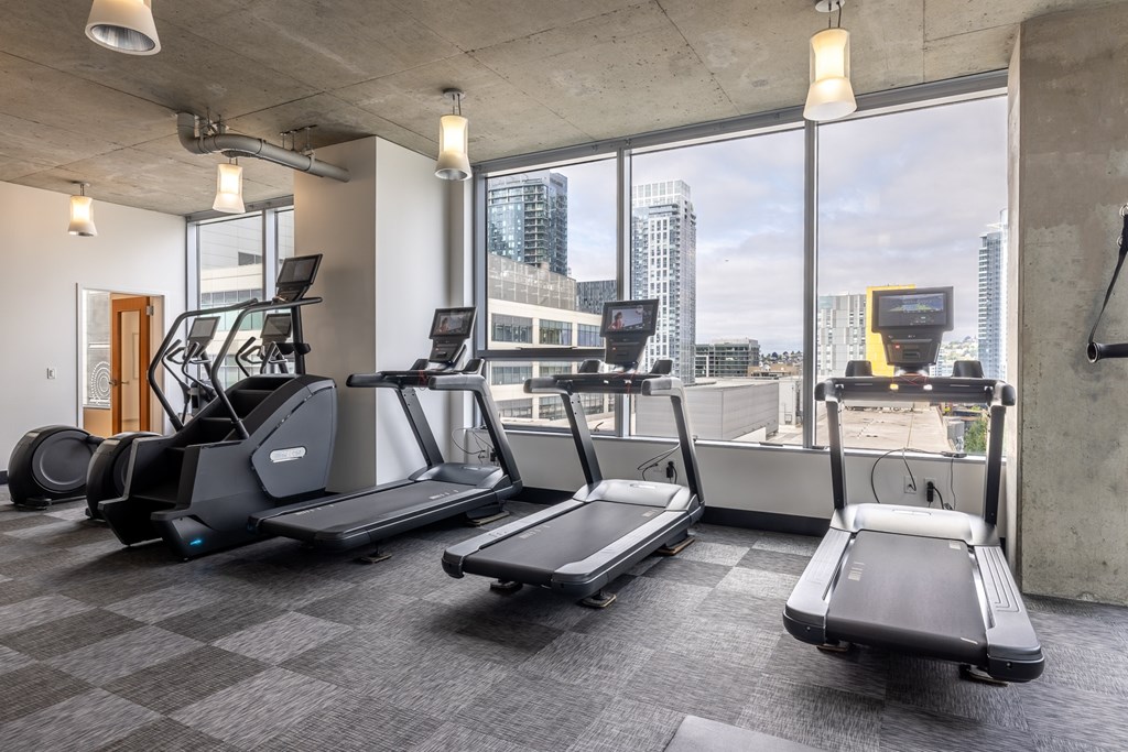 A gym with treadmills, elliptical machines, and a view of the city.
