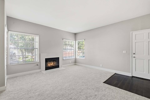 A living room with a fireplace and a door.