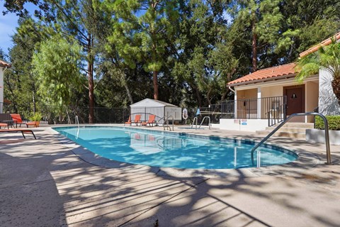 A pool surrounded by trees and a building.