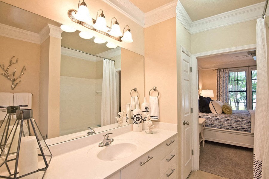 a bathroom with a sink and a large mirror