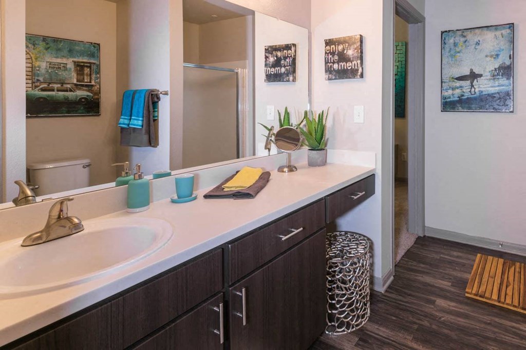 a bathroom with a sink and a mirror