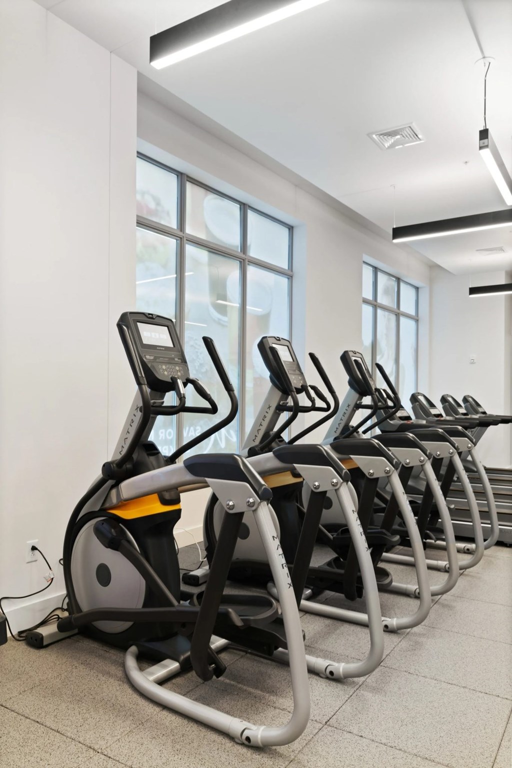 A row of elliptical machines are lined up in a brightly lit gym.