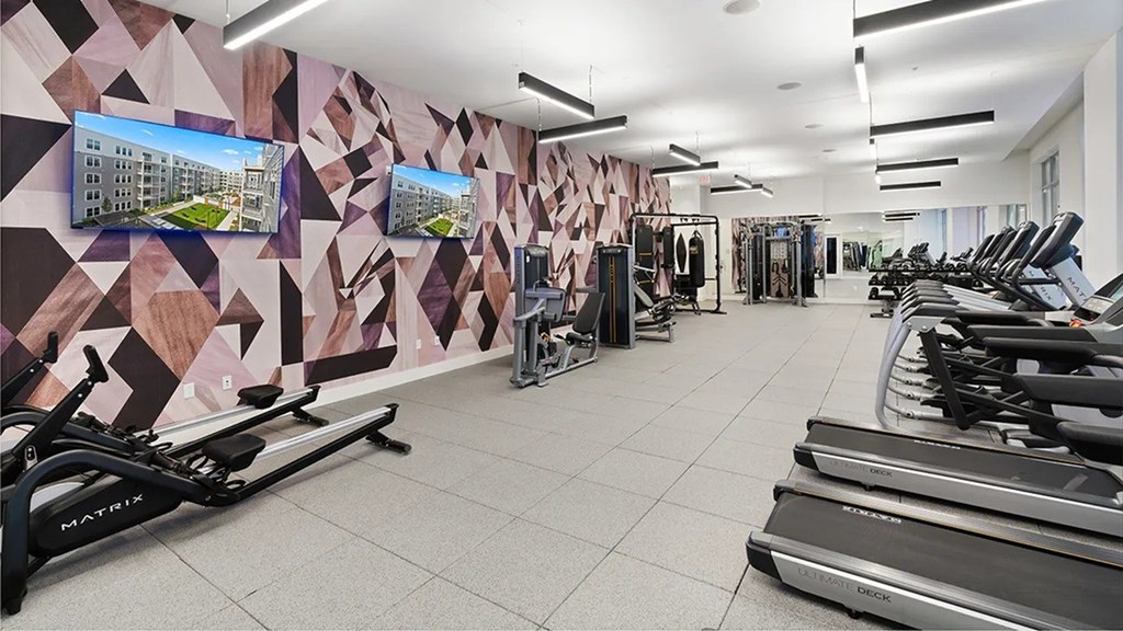 A gym with treadmills and exercise equipment.