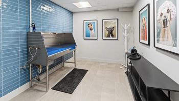 A room with a blue tiled wall and a black table with a black cloth on it.