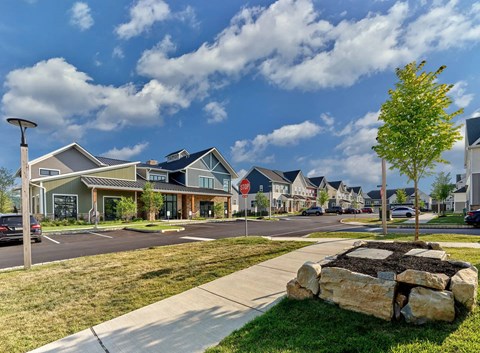 A suburban neighborhood with houses and a stop sign.