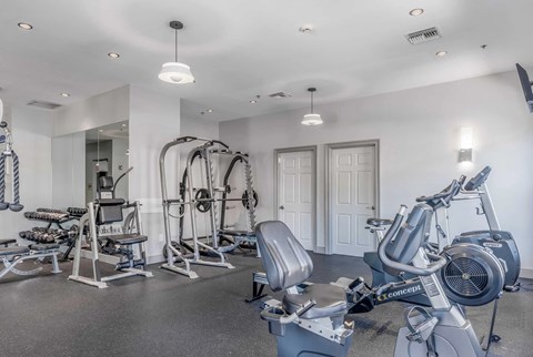 A well-equipped gym with a variety of exercise machines and weights.