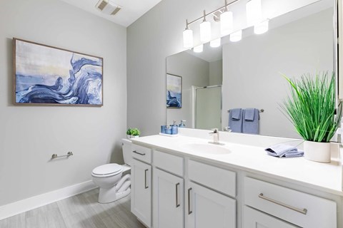 A bathroom with a white toilet, a sink with a mirror above it, and a painting on the wall.