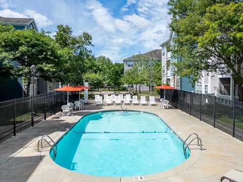 A swimming pool surrounded by a black fence and trees.