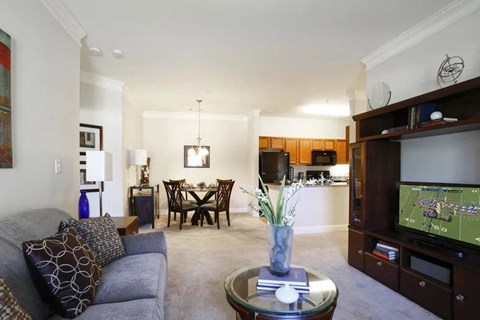 A living room with a grey couch, a coffee table, and a television.