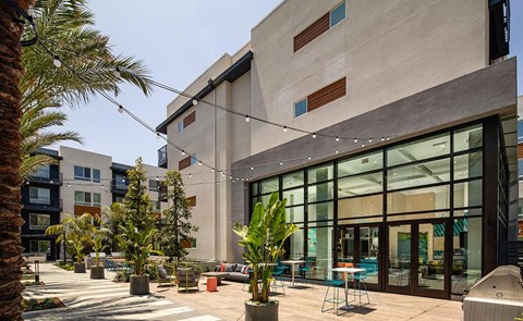 a patio outside a building with palm trees