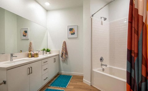 a bathroom with a tub and a sink and a shower