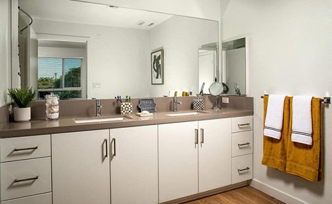 a bathroom with two sinks and a large mirror