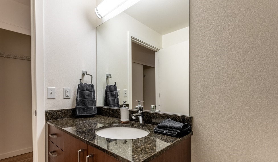 a bathroom with a sink and a mirror