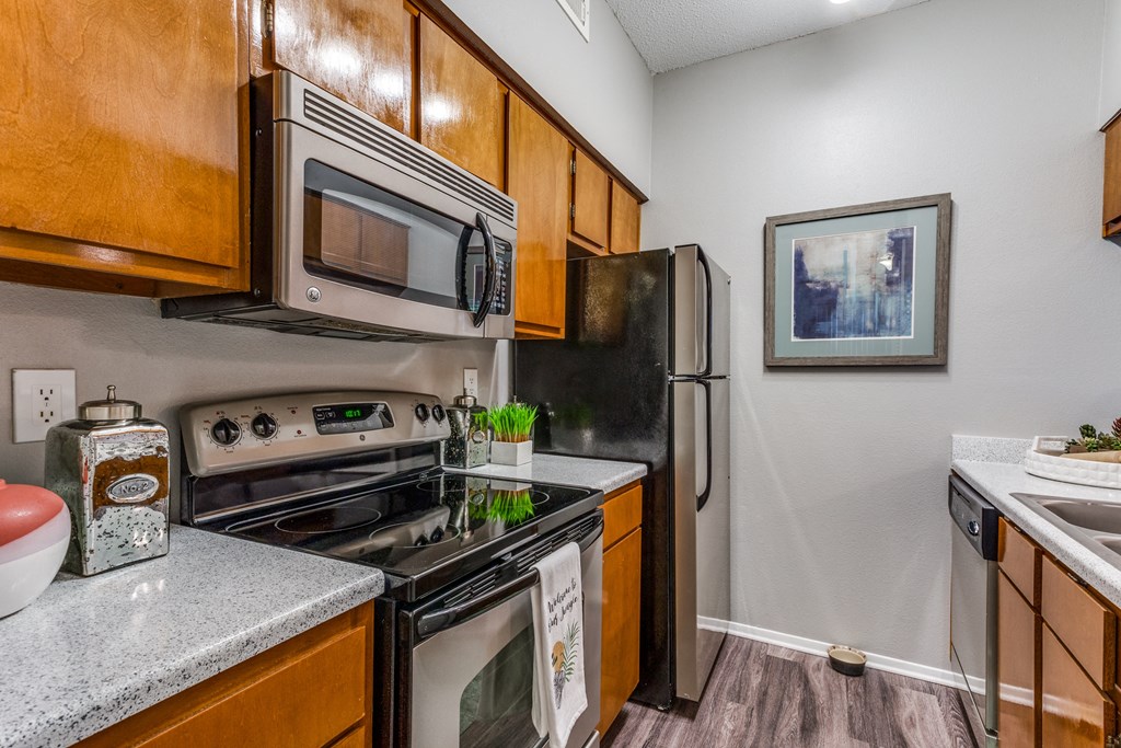 our apartments have a modern kitchen with stainless steel appliances