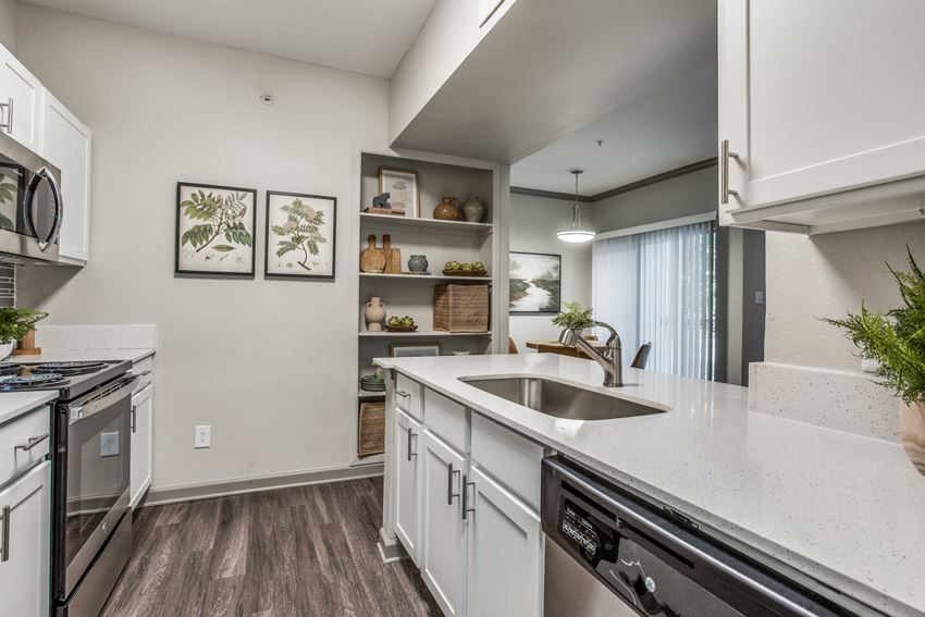 Kitchen Sink Kitchen Sink at Canyon Ridge, Austin, TX, 78753