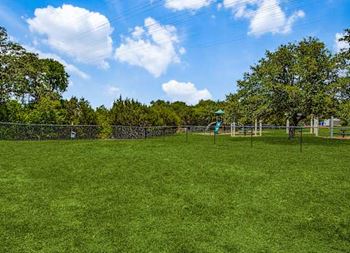A large grassy field with trees and a fence in the background at Canyon Ridge, Texas