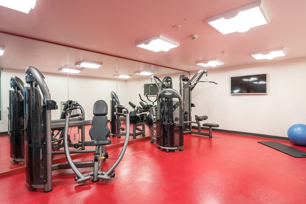 a gym with a lot of exercise equipment on the floor