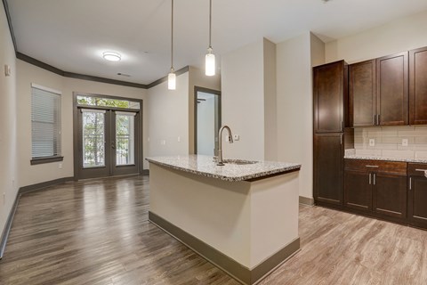 A kitchen with a counter and cabinets.