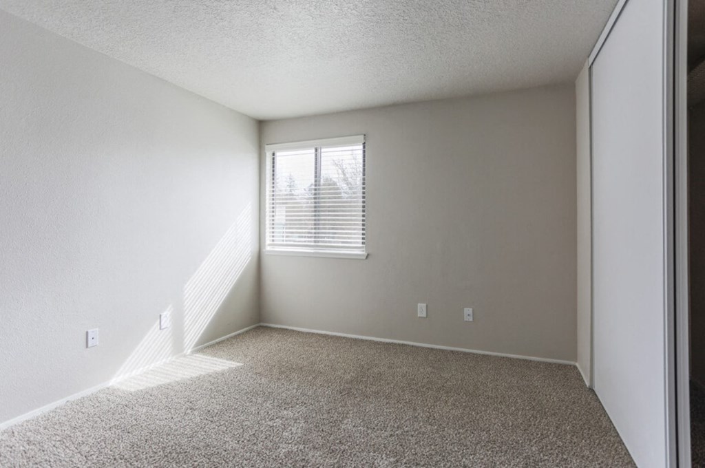 an empty room with a window and a carpeted floor