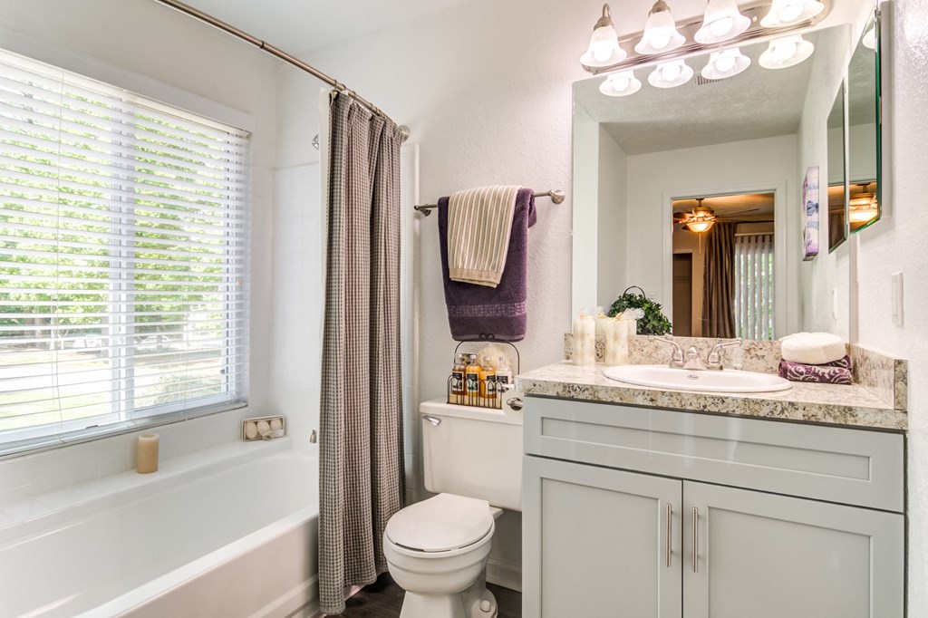 2200 Big Creek Apartments in Roswell, GA photo of bathroom