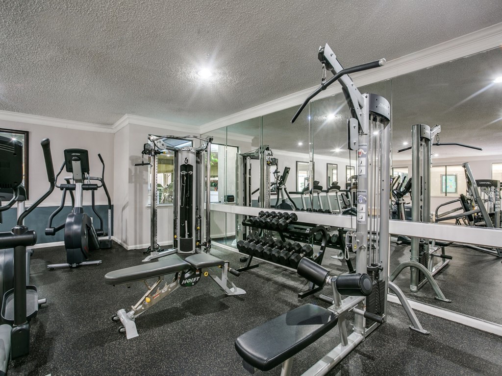 a gym with weights and cardio machines and a tv