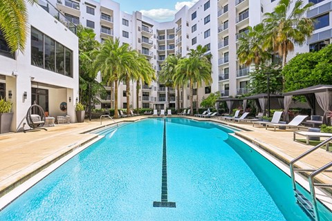 A large swimming pool in a residential area with palm trees.