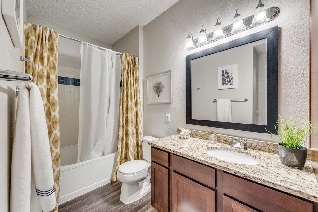 a bathroom with a shower toilet and sink and a mirror
