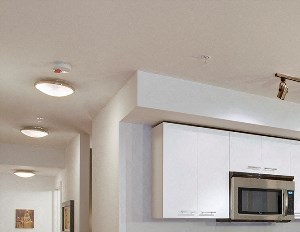 6900 East Green Lake Way N Studio-2 Beds Apartment for Rent - Photo Gallery 3