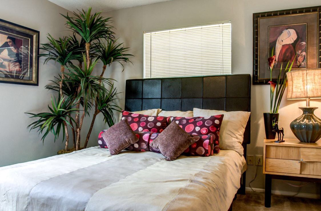 open living spaces with natural light