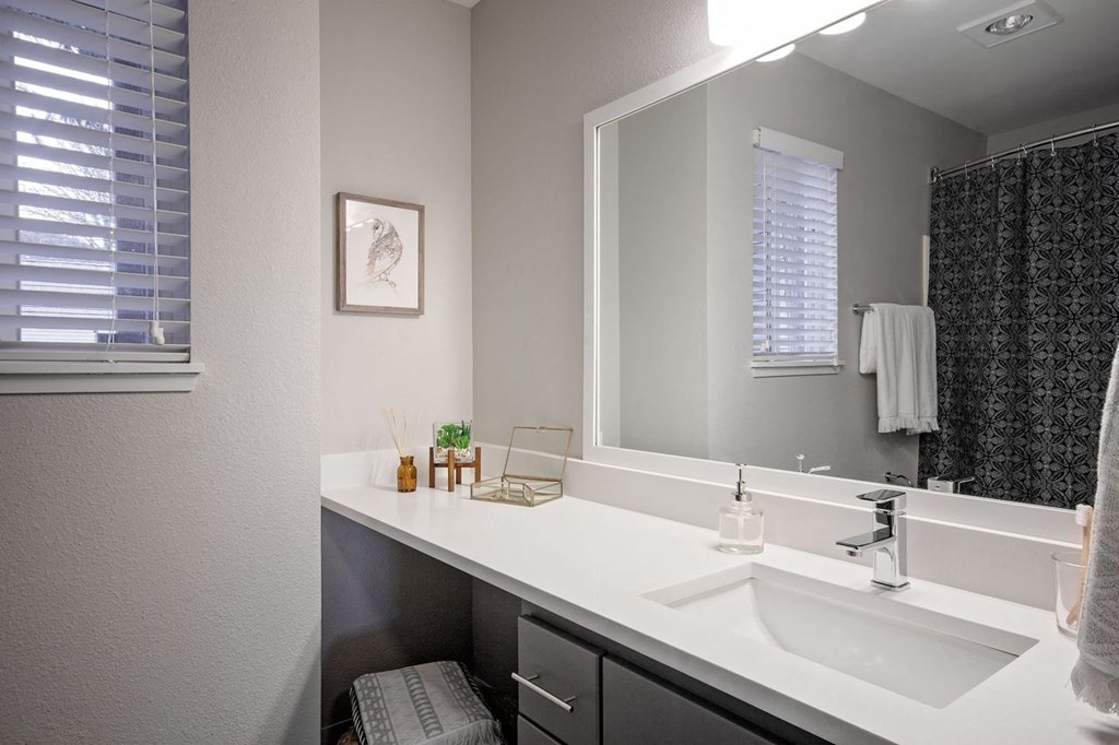 a bathroom with a sink and a large mirror