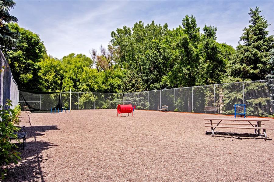 dog park with agility course