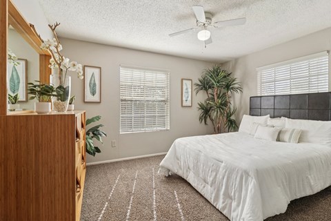 Apartments in San Antonio, TX, with In-Unit Washer and Dryer - Rock Canyon Apartments - Bedroom With A White Bed, Wood Dresser, Ceiling Fan, Carpet Flooring, And Indoor Plants.