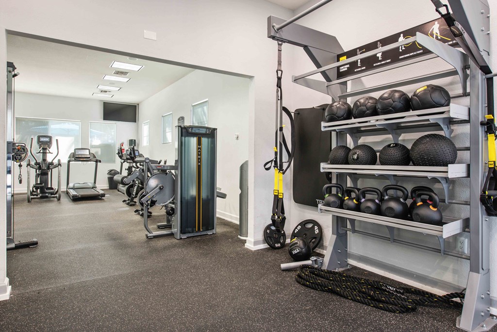 a gym with weights and other exercise equipment on a rack