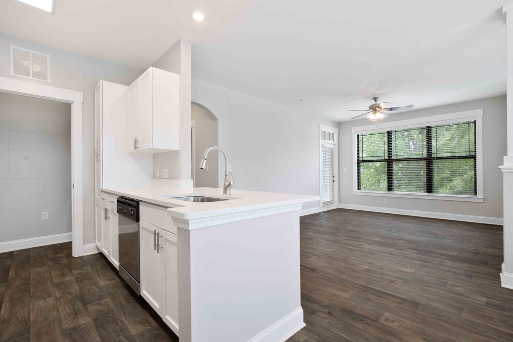 kitchen and living room